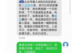 东河东河的要账公司在催收过程中的策略和技巧有哪些？