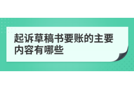 东河如何避免债务纠纷？专业追讨公司教您应对之策
